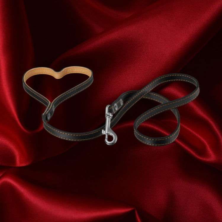 BDSM obojky – elegantní a dominantní doplněk pro roleplay, poslušnost a partnerské hry.