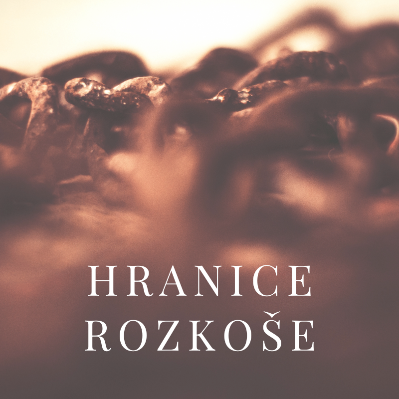 Luxusní BDSM pomůcky pro intenzivní vzrušení a objevování nových hranic potěšení