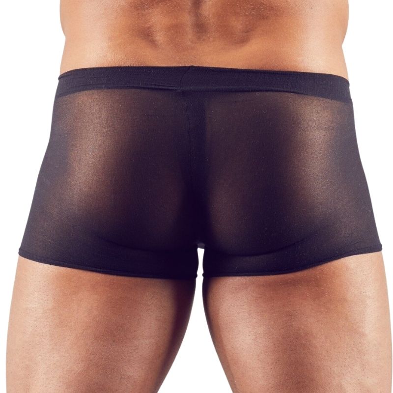 Sada dvou průsvitných erotických pánských boxerek z lehkého pružného polyamidu pro svůdný a sexy vzhled.