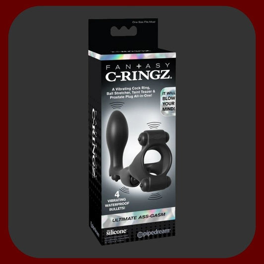 Tělový vibrační erekční kroužek s análním stimulátorem a 4 vibračními body pro muže a páry – stimulace prostaty, penisu a hráze – EROSIANA